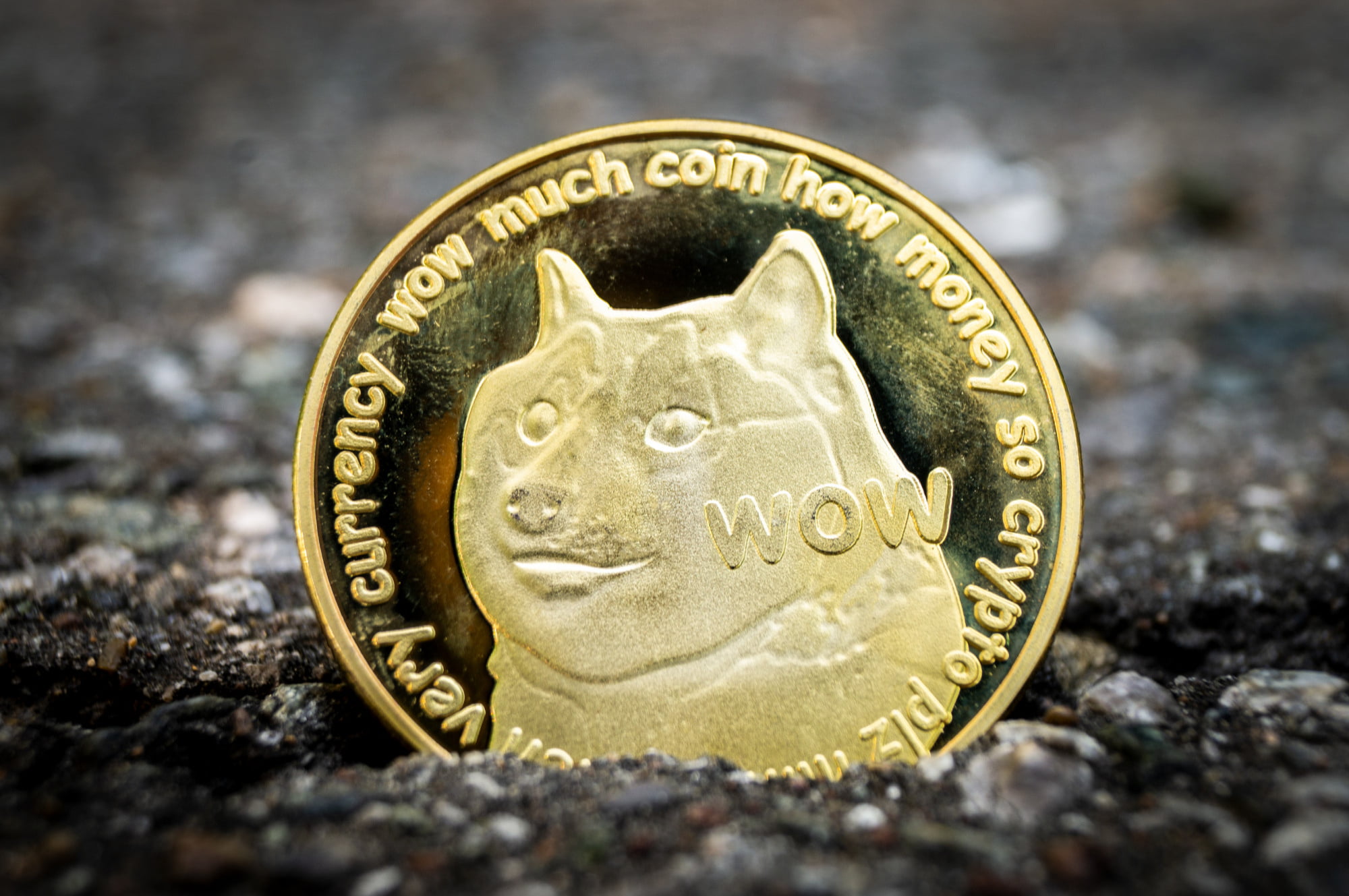 Hvor kan man kjøpe Dogecoin?